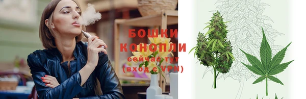 мет Бородино