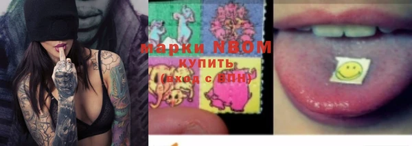 прущие грибы Богородск